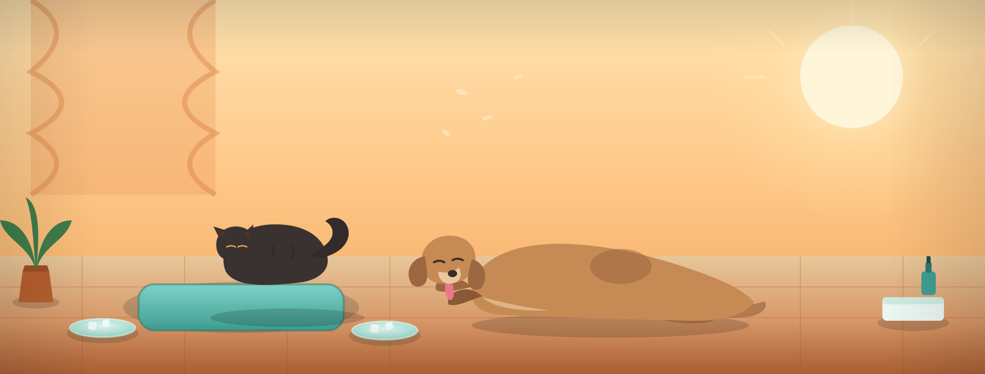 The Smart Owner's Summer Survival Kit for Pets